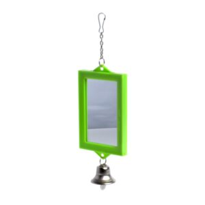 Saint Bernard Double Sided Mirror