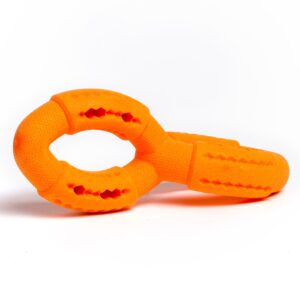Saint Bernard R/Play Foam Dental Treat Ring DBL