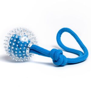 Saint Bernard R/Play Spiky Ball Tug Rope