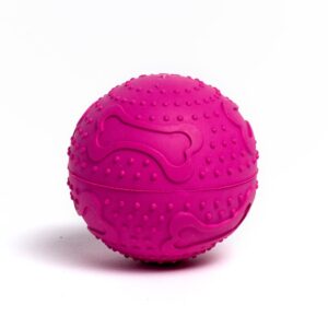 Saint Bernard R/Play Ball Medium