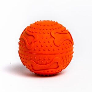 Saint Bernard R/Play Ball Small