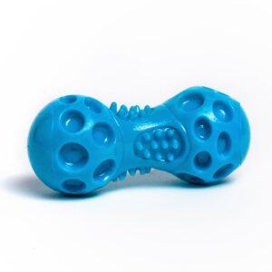 Saint Bernard R/Play Durable SQ Dumbell 12cm