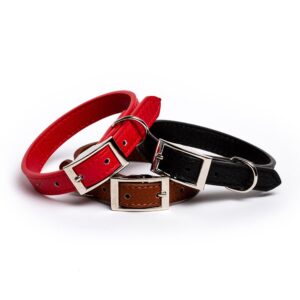 Saint Bernard Collar Plain 35cm (Various Colours)