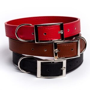 Saint Bernard Collar Plain 55cm (Various Colours)