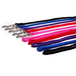 Saint Bernard Lead Nylon Woven 90cm x 10mm (Various Colours)