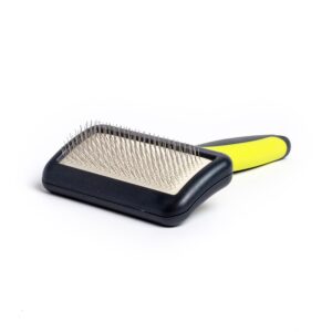 Saint Bernard Brush Slicker Medium