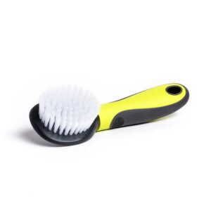 Saint Bernard Brush Cat