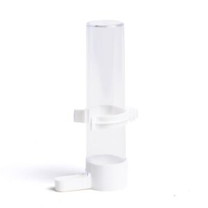 Saint Bernard Senior Feeder