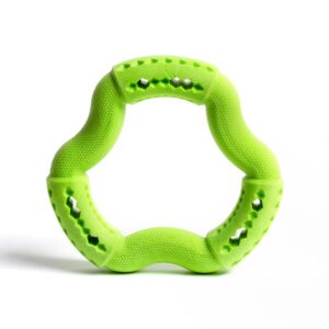 Saint Bernard Foam Dental Ring