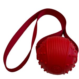 St Bernard Retriever Dog Toy